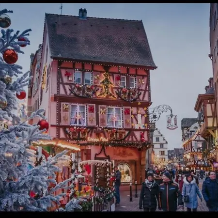 Διαμέρισμα Les Berges De L'ill