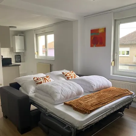 Les Berges De L'ill Διαμέρισμα Horbourg