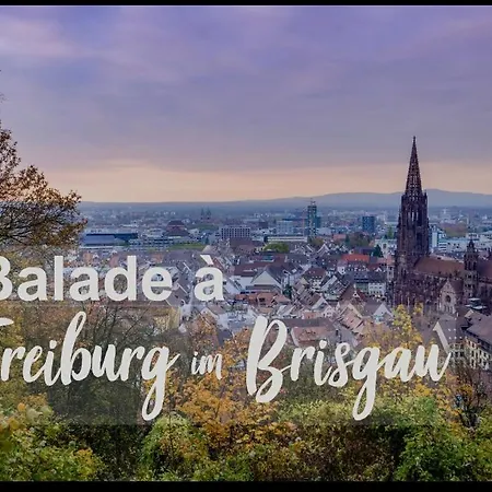 Appartement Les Berges De L'ill Horbourg