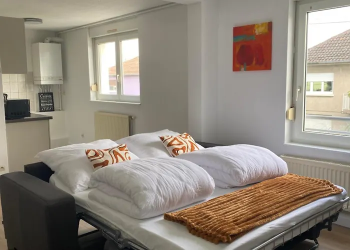 Les Berges De L'ill Apartmán Horbourg